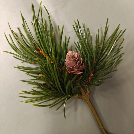 Ветка короткая еловая с шишкой. 27 см