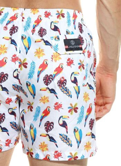 Мужские пляжные шорты с принтом в виде попугаев (Размер: XXL) (Цвет: белый)