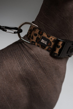 Ошейник Неуловимый леопард