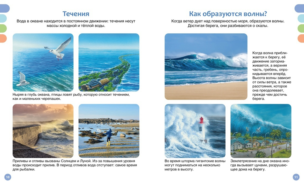 Твоя первая энциклопедия. Море и его обитатели