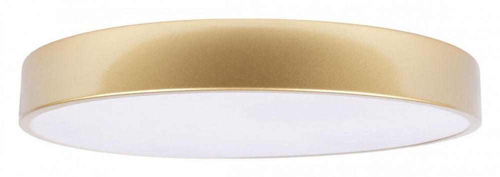 Накладной светильник Loft it Flims 10228/A