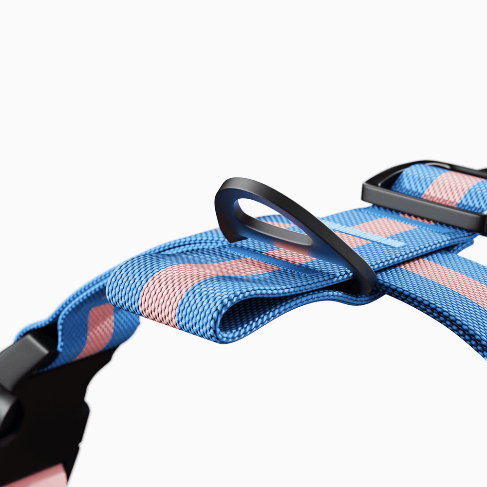 Шлейка Stripes