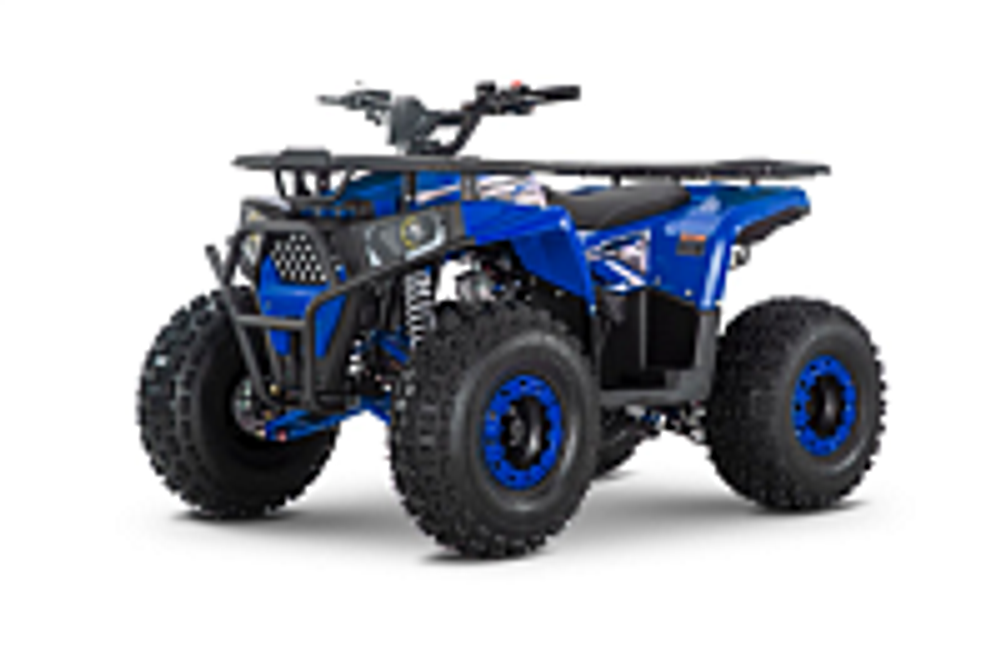 Квадроцикл WELS Trail 125