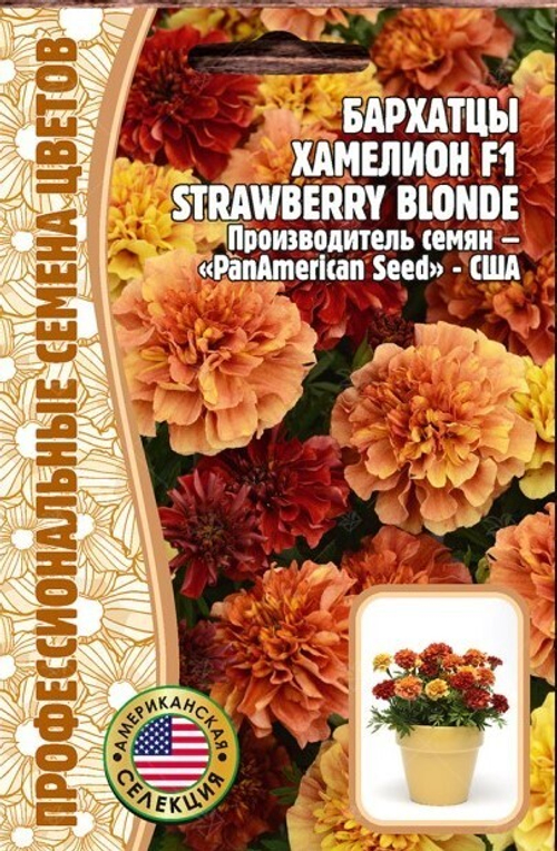 Бархатцы Хамелион F1 Strawberry Blonde