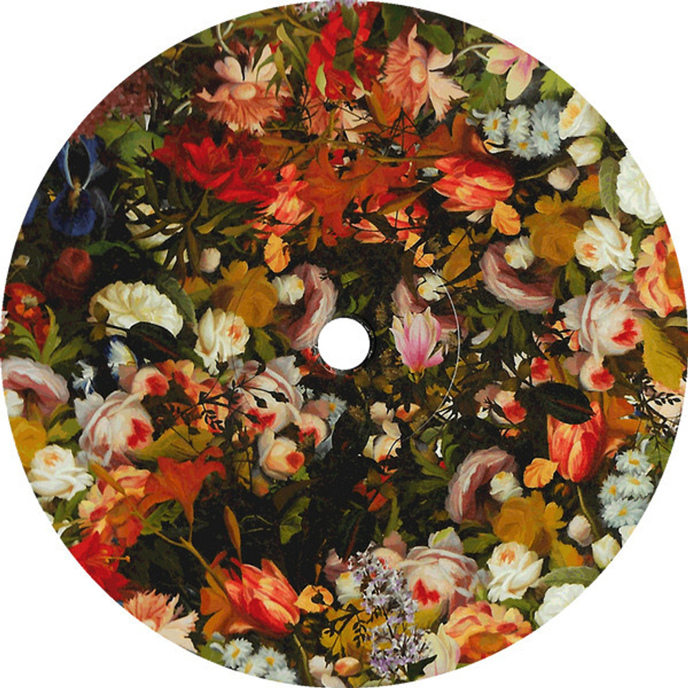 The Pineapple Thief / Magnolia (2LP)