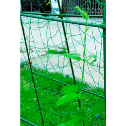 GFPN12-45 GREEN APPLE Сеть садовая 4*5м | GREEN APPLE