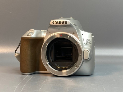 Canon 250D Kit 18-55mm STM 16.000 кадров