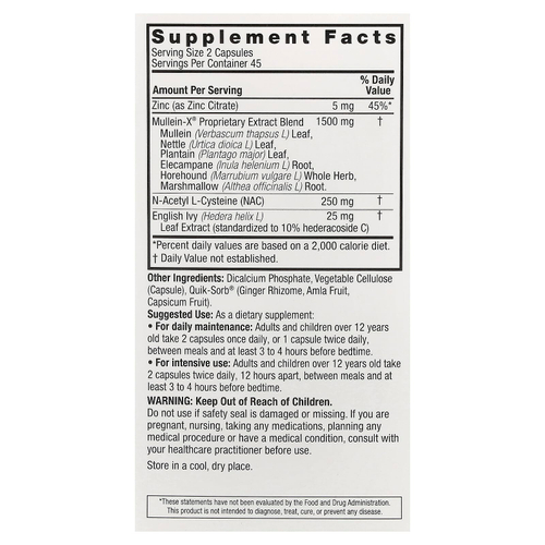 Nature's Answer, MulleinX® Respiratory, NAC и цинк, 90 вегетарианских капсул