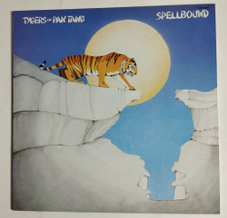 Винтажная виниловая пластинка LP Tygers Of Pan Tang Spellbound (Japan 1981) (No Obi)