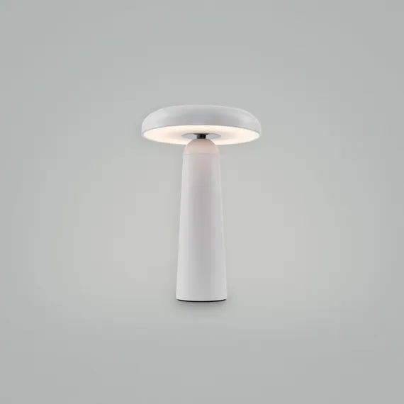 Аккумуляторный светильник Freya FR6109TL-L4W