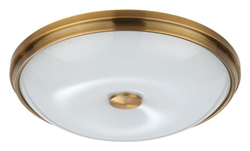 Накладной светильник Odeon Light 4956/4