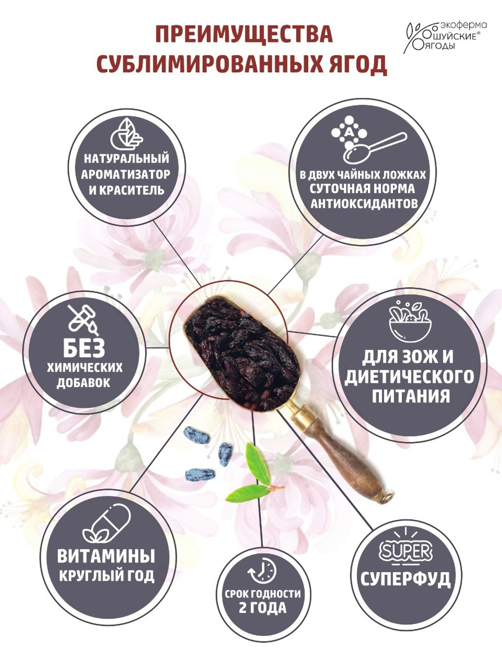 Натуральные цельные ягоды жимолости сублимированные без сахара и консервантов, 30г