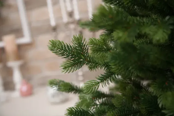 Ель Городская стройная, 100% литая хвоя, 185 см., Black Box (74618)