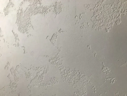 Декоративная фактурная акриловая интерьерная штукатурка для стен 15 кг, Карта мира, Антега