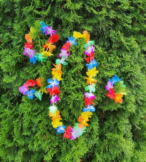 Гавайский набор (ожерелье, венок, браслеты 2 шт.)