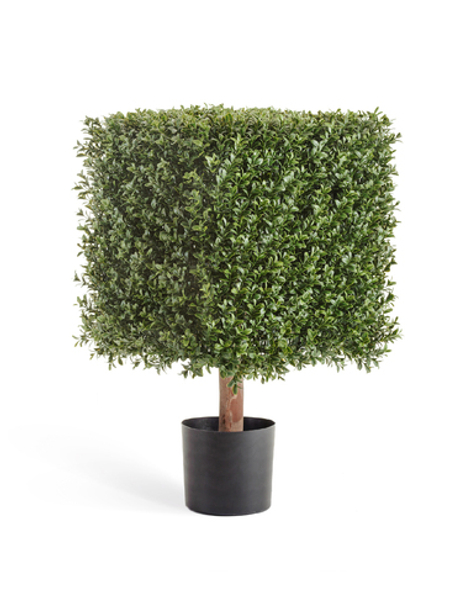 Самшит квадрат уличный на каркасе