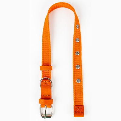 Ошейник №30 (брезент) син.