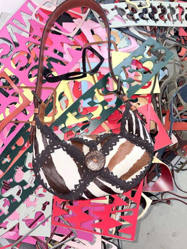 SAMPLE SEVA WILD ZEBRA S