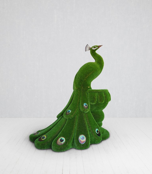 Топиари Павлин на вазоне