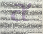 Иберис Экспресс горький 0,1 г (Альпийская горка) СМЦ-237