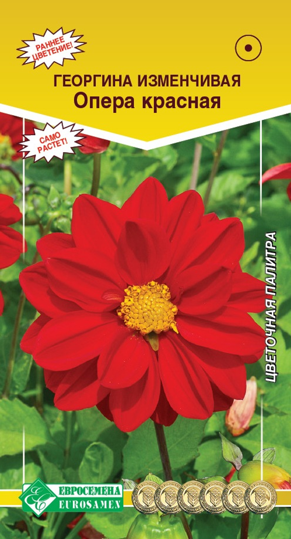 Георгина изменчивая Опера красная