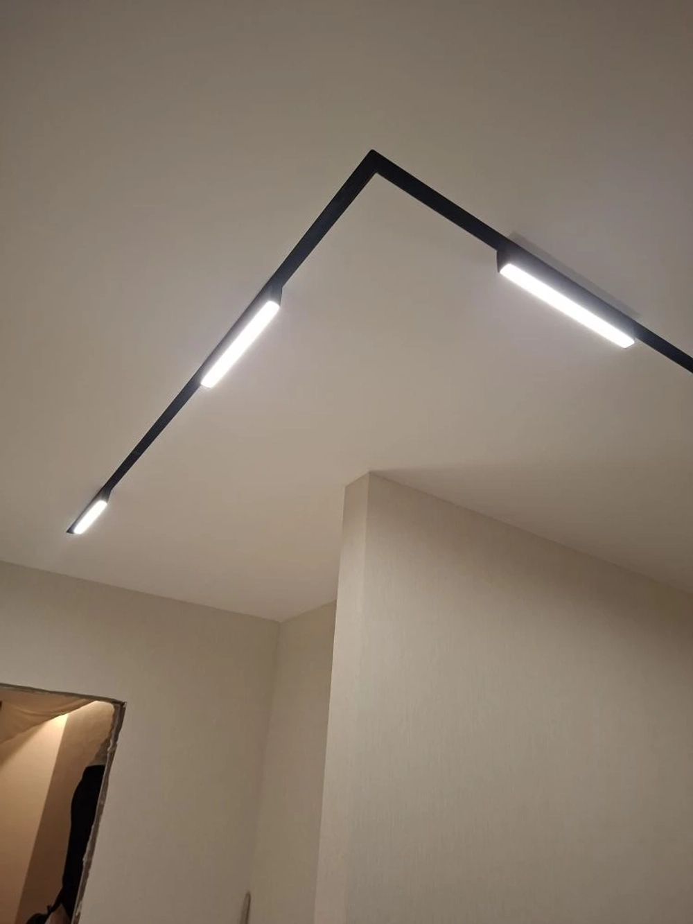 Трековый свет