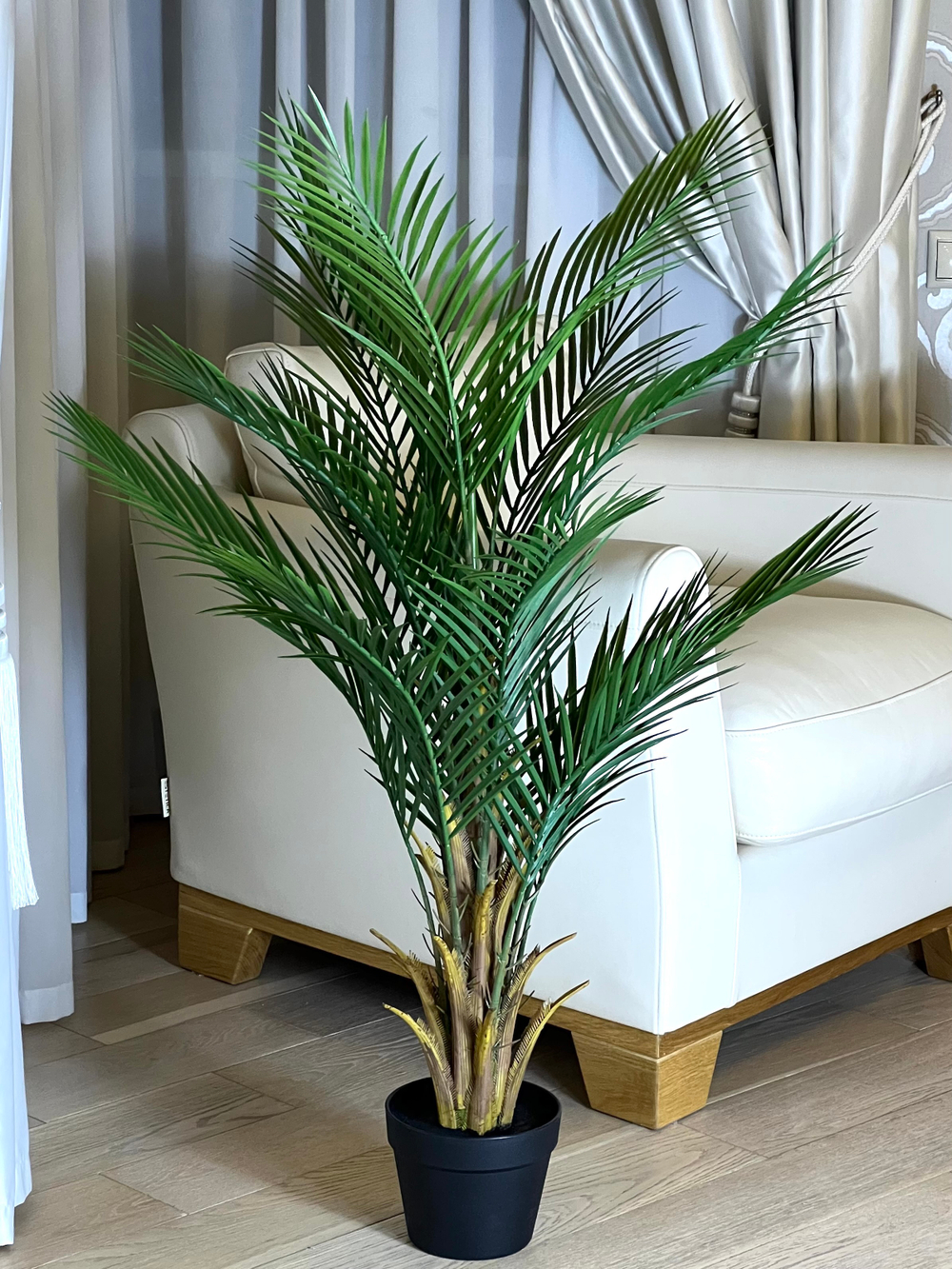 Пальма Дипсис 120 см.