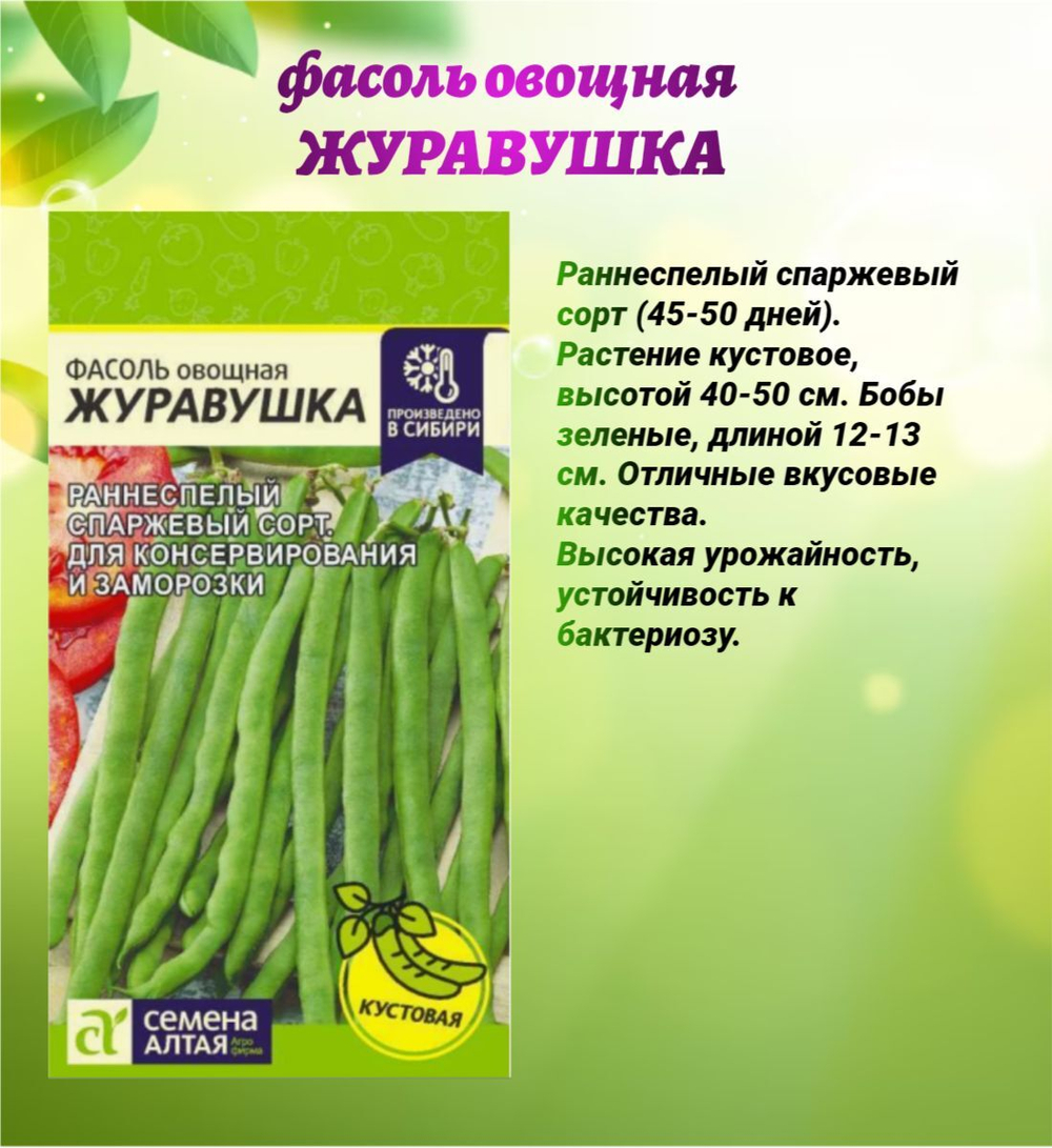 Набор семян бобовых культур: фасоль и горох.