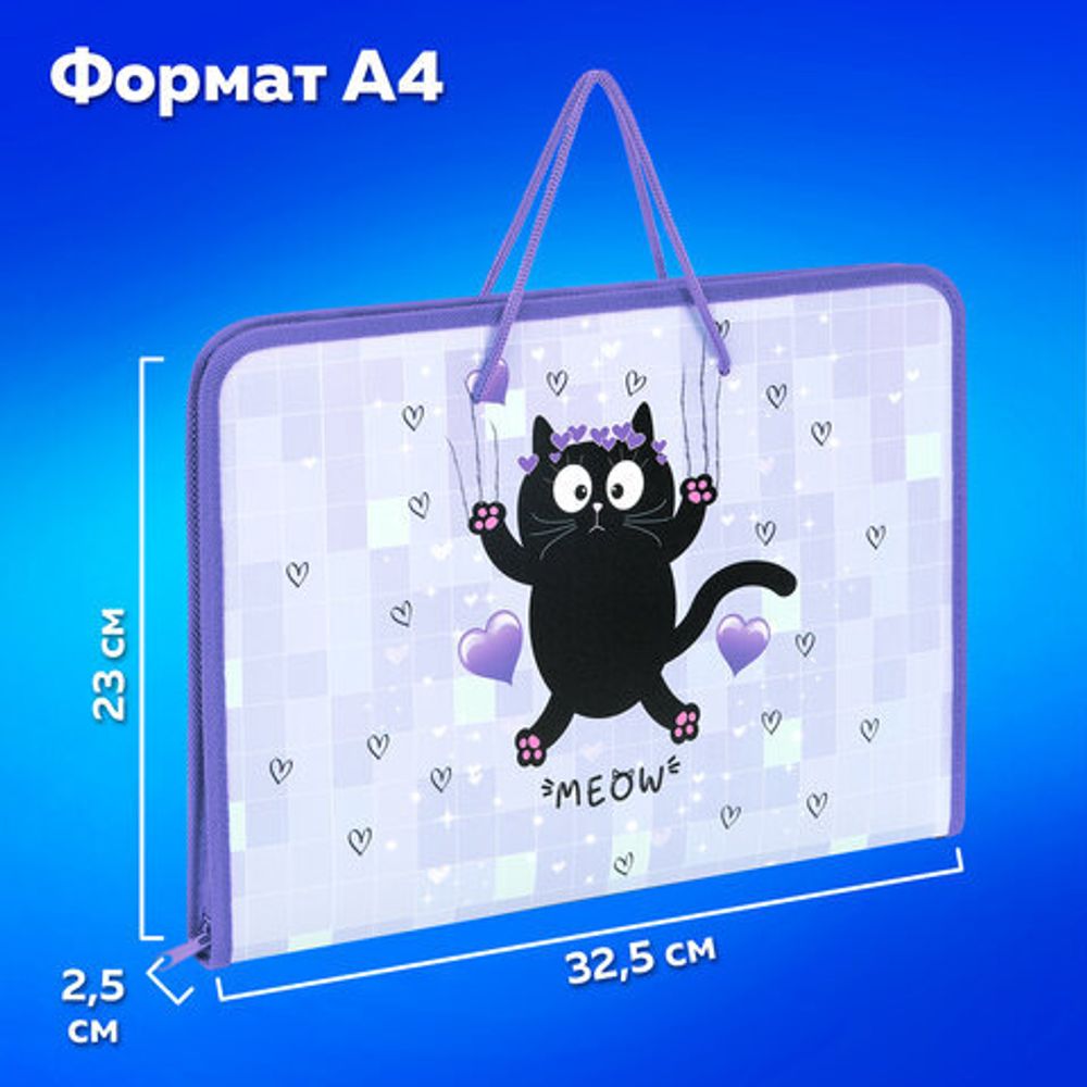 Папка для труда на молнии с ручками ПИФАГОР А4, 1 отделение, пластик, органайзер, "Falling cat", 272226