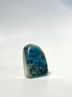 Срез Лабрадора S