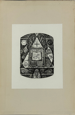 [Редкое издание] Colonel G. F. Young .The Medici. New York: E.P. Dutton and Company, 1920. 2 тома.