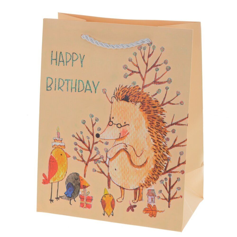 GAEM Пакет подарочный (бумага 210г/м2, блок 12шт), L18 W10 H23 см, 4в.