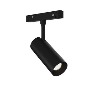 Магнитная трековая система