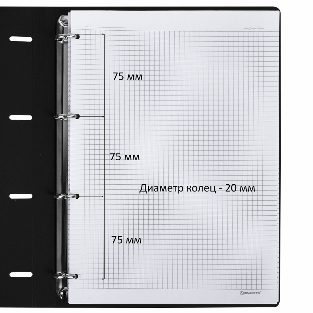 Тетрадь на кольцах БОЛЬШАЯ А4 (240х310 мм) 120 л. под кожу BRAUBERG VISTA "Туман" (2 штуки в упаковке)