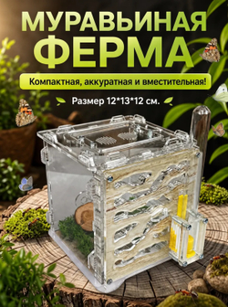Ферма «Кубик Светлое дерево» + Колония муравьёв «Макси» + Микс корма