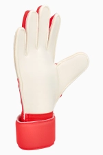 Вратарские перчатки adidas Predator Match