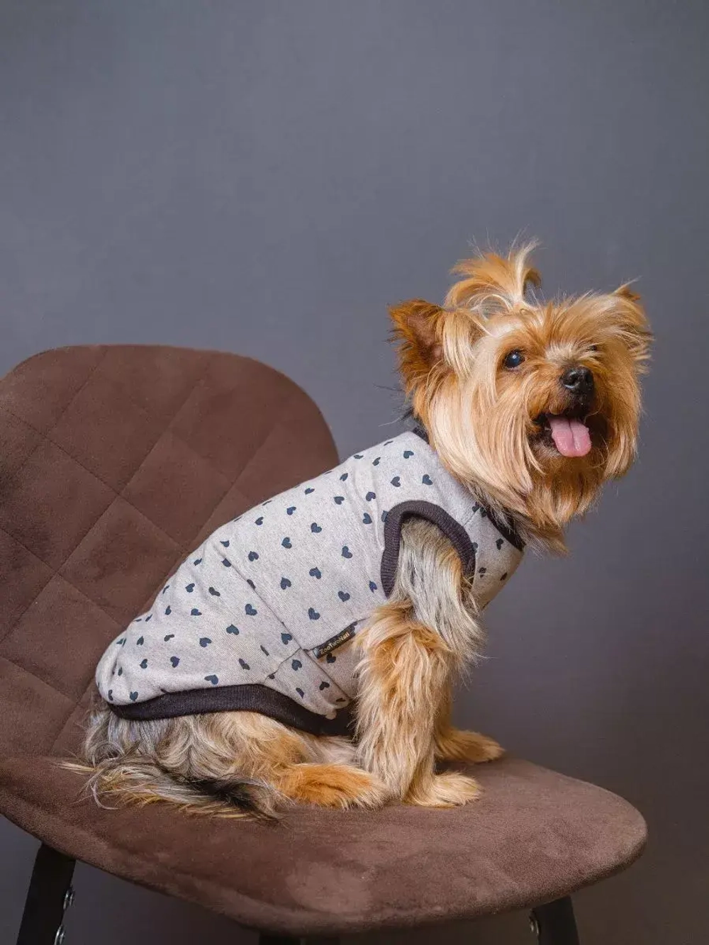 Майка для собак