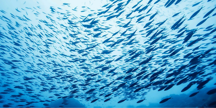 Biopharma — норвежское качество с 1987 года