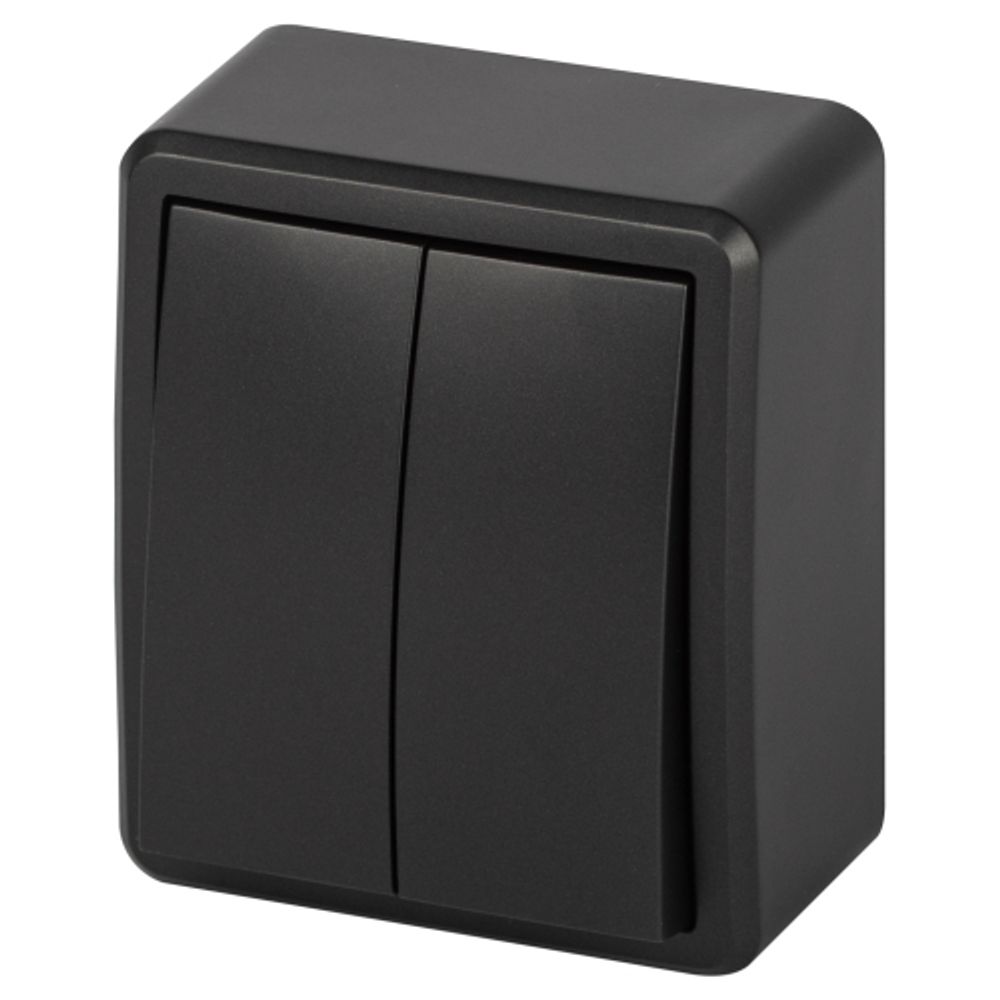 Выключатель ЭРА Эксперт 11-1204-05 двойной IP20 10АХ-250В ОУ антрацит