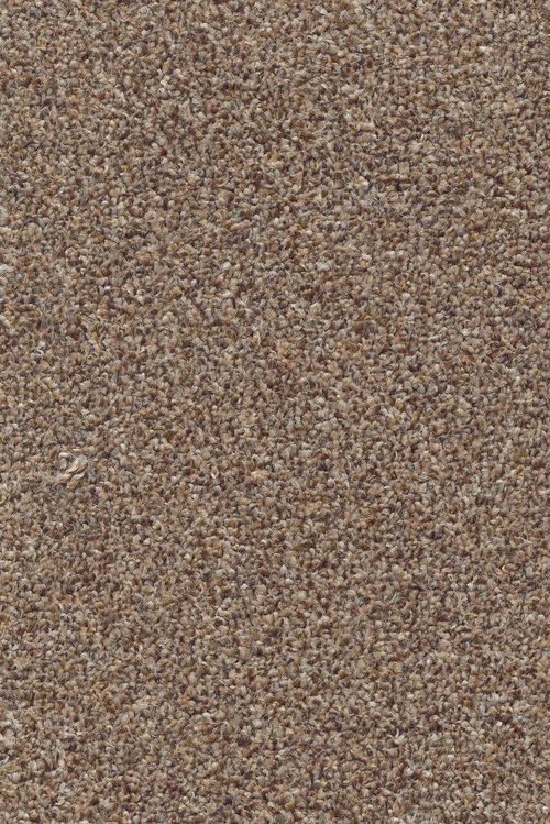 КОВРОВОЕ ПОКРЫТИЕ AW Stainguard Harvest Heathers (Стейнгурад Харвест Хизер) 44