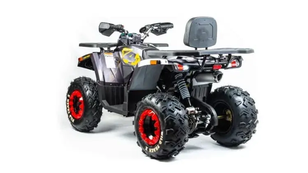 Квадроцикл Motoland 200 WILD TRACK X (баланс. вал)