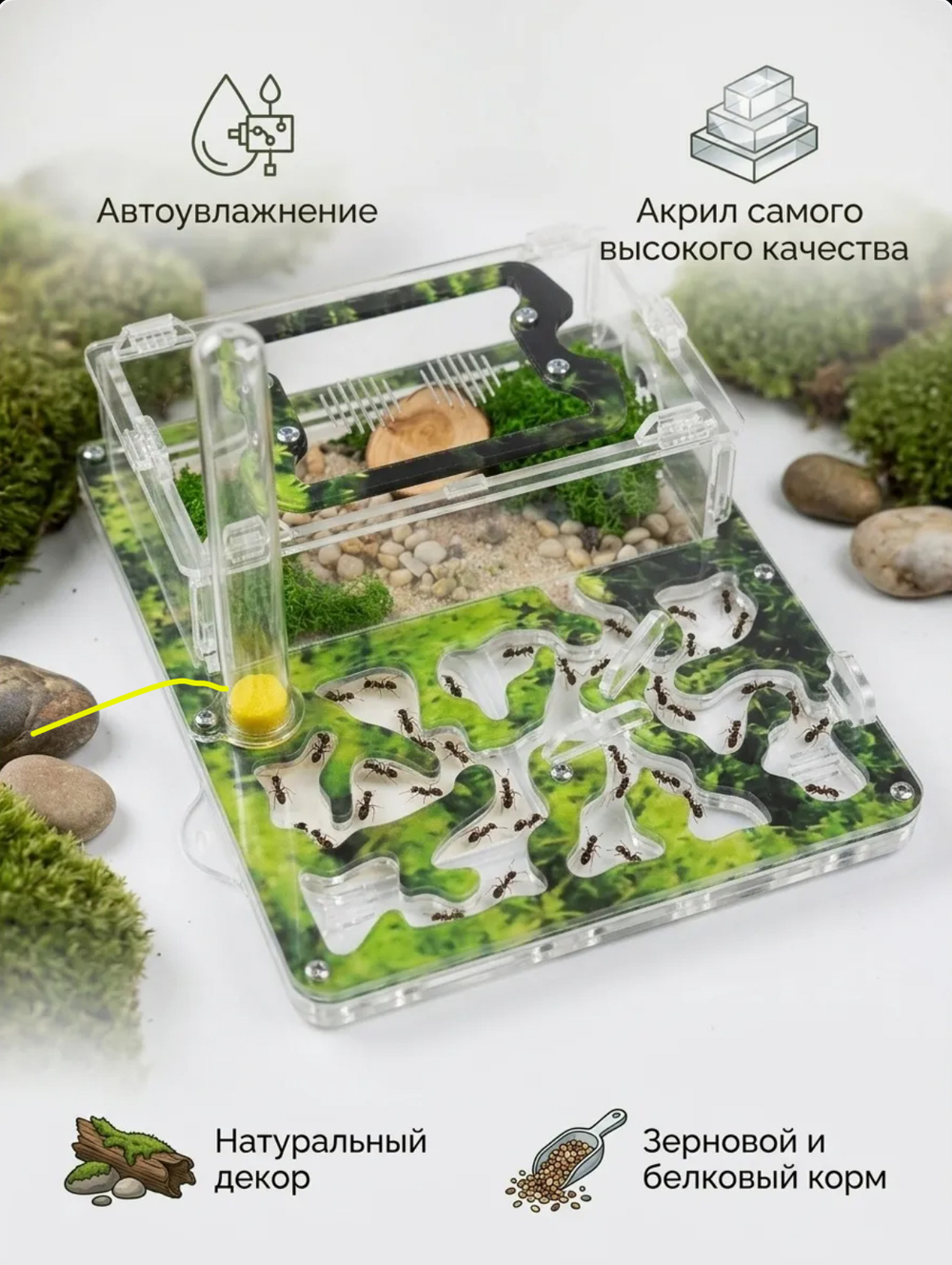 Ферма «Мох» + Колония муравьев «Макси» + Микс корма