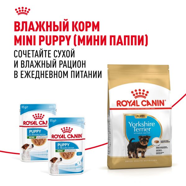 Сухой корм Royal Canin Yorkshire Terrier Puppy для щенков породы Йоркширский Терьер до 10 месяцев