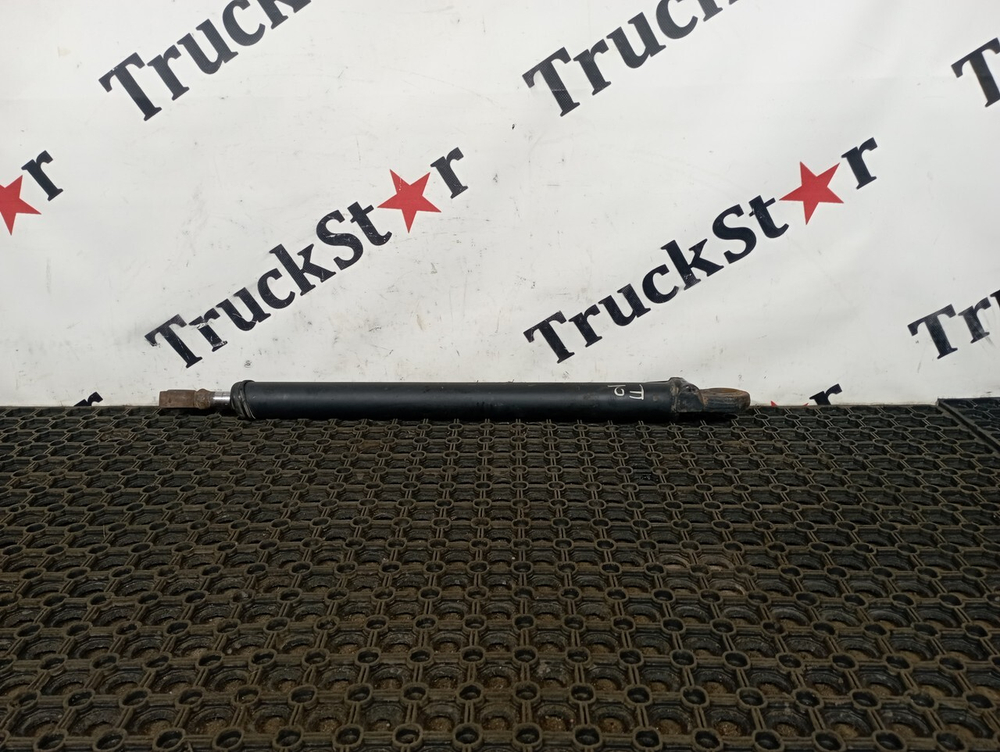 Цилиндр подъема кабины 2022г