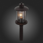 SL080.415.01 Светильник уличный наземный ST-Luce Темный кофе/Прозрачный, Темный кофе E27 1*60W