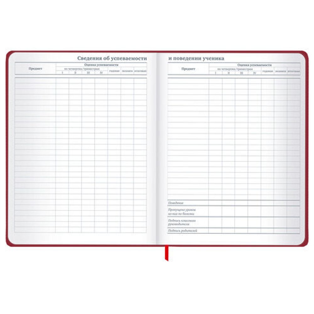 Дневник 1-11 класс 48 л., твердый, BRAUBERG, матовая ламинация, резинка, закладка-ляссе, с подсказом, "Мото", 107236