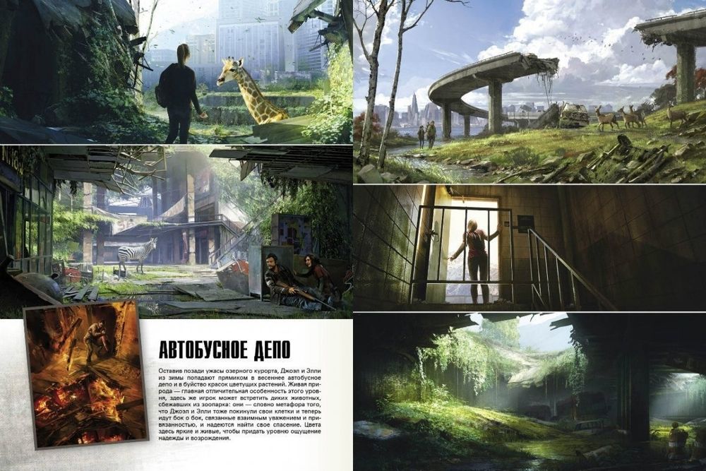 Мир игры The Last Of Us