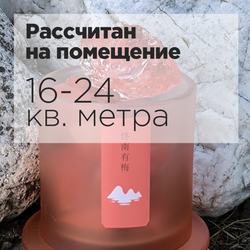 Диффузор ароматический для дома с минералами ОСЕНЬ В ГОРАХ