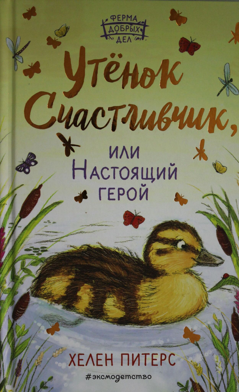 Утёнок Счастливчик, или Настоящий герой (#2)