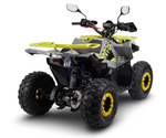 Квадроцикл Avantis Ray 8 Lux
